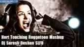 Hert Touching Reggetoon Mashup