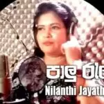 Palu Raye Thani Yahanedi