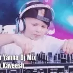 Samu Aran Yanna Dj Mix