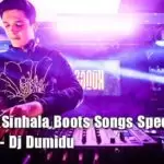 2020 Hit Sinhala Boots Songs Special Nonstop