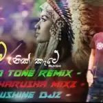 2020 Manik Kate Rukshi (Pad Tone Re Mixz)