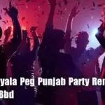 2D20 Patiyala Peg Punjab Party Remix