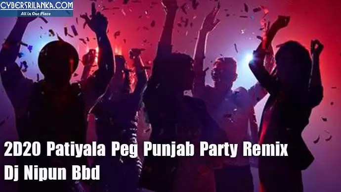 2D20 Patiyala Peg Punjab Party Remix