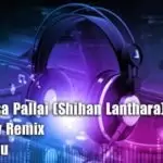 2Z20 Dasa Pallai (Shihan Lanthara) Choka 6-8 Party Remix
