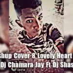 2k20 Mashup Cover 8 Lovely Heart Spd Sx Mixz