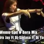 Api Ape Wemu Spd N Bera Mix