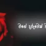 Hitha Ridunaada