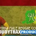 Pinna Male Reggae Cover