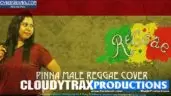 Pinna Male Reggae Cover