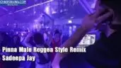 Pinna Male Reggea Style Remix