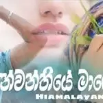 Pinwanthiya Mage Cover