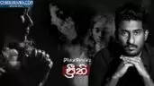 Preethi