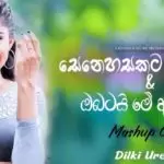 Senehasakata Aruthak n Obatai Me Aradana Cover