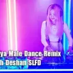Udawadiya Male Dance Remix