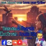 Yanawaada Paarala Electronic House Mix