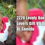 2Z20 Lovely Boot Song Lovers Gift V8 Dj Nonstop