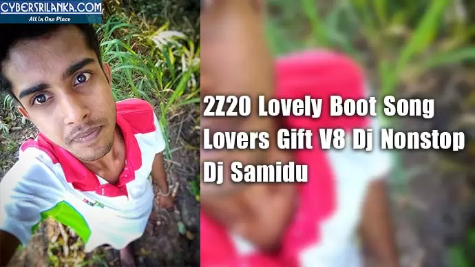 2Z20 Lovely Boot Song Lovers Gift V8 Dj Nonstop