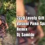 2Z20 Lovely Gift For Vasuni Pana Spacial Remix