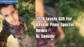 2Z20 Lovely Gift For Vasuni Pana Spacial Remix