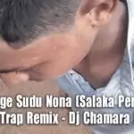 2d20 Mage Sudu Nona (Salaka Perera) Edm N Heard Trap Remix