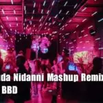 96 Tharuda Nidanni Mashup Remix