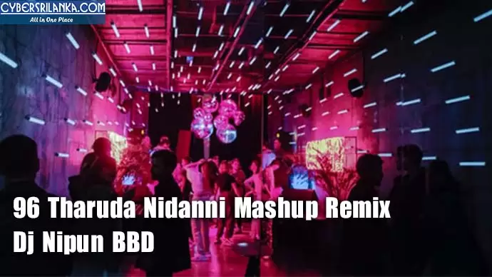 96 Tharuda Nidanni Mashup Remix