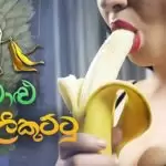 Anamalu Kolikuttu