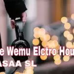 Api Ape Wemu Elctro House Mix