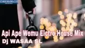 Api Ape Wemu Elctro House Mix