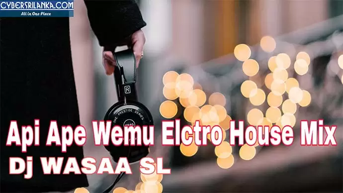 Api Ape Wemu Elctro House Mix