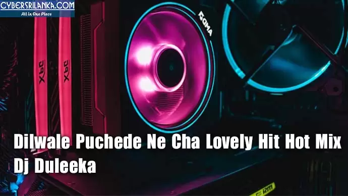 Dilwale Puchede Ne Cha Lovely Hit Hot Mix