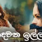 Hadawatha Illa Cover