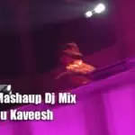 2020 Dj Mashaup Dj Mix