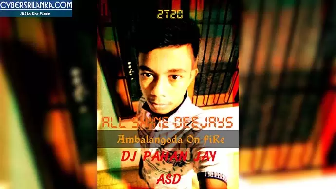 2S20 Inna Sathutin (Doni) My Style Remix
