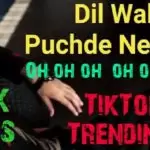 Dil Wale Puchde Ne Cha