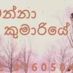 Diyawanna Kumariye Cover Akmal