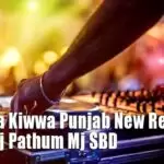 Hamoma Kiwwa Punjab New Remix