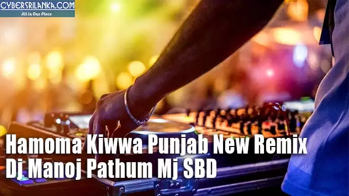 Hamoma Kiwwa Punjab New Remix