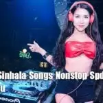 Hit New Sinhala Songs Nonstop Spd Style