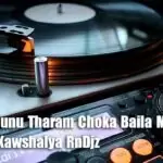 Hitha Ridunu Tharam Choka Baila Mix