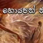 Hoyapan Niwana