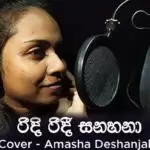 Ridi Ridi Cover