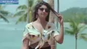 Sitharuu
