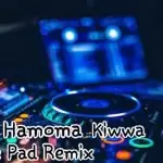 2H20 Hamoma Kiwwa Live Pad Remix