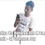 2s20 Nandiya Vs Nangiya Rnb N PanJab Danze Remix