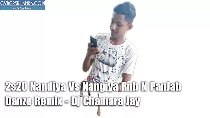 2s20 Nandiya Vs Nangiya Rnb N PanJab Danze Remix