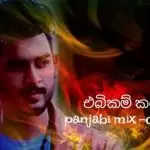 Ebikam Karala Punjabi Mix