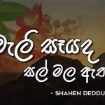 Ranweli Seyada