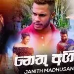 Nethu Agin