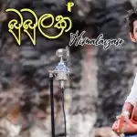 Pena Bubulak Wage Cover Song